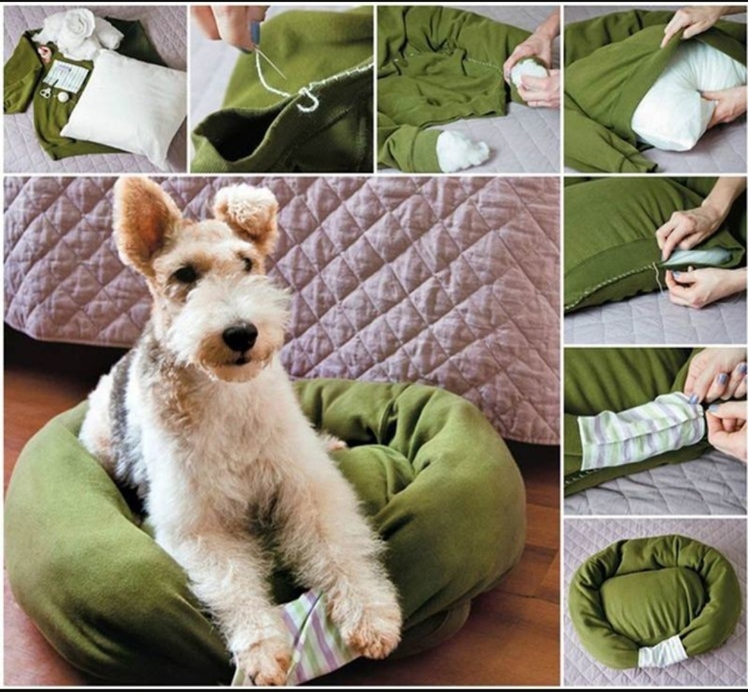 Лежак из свитера для собаки